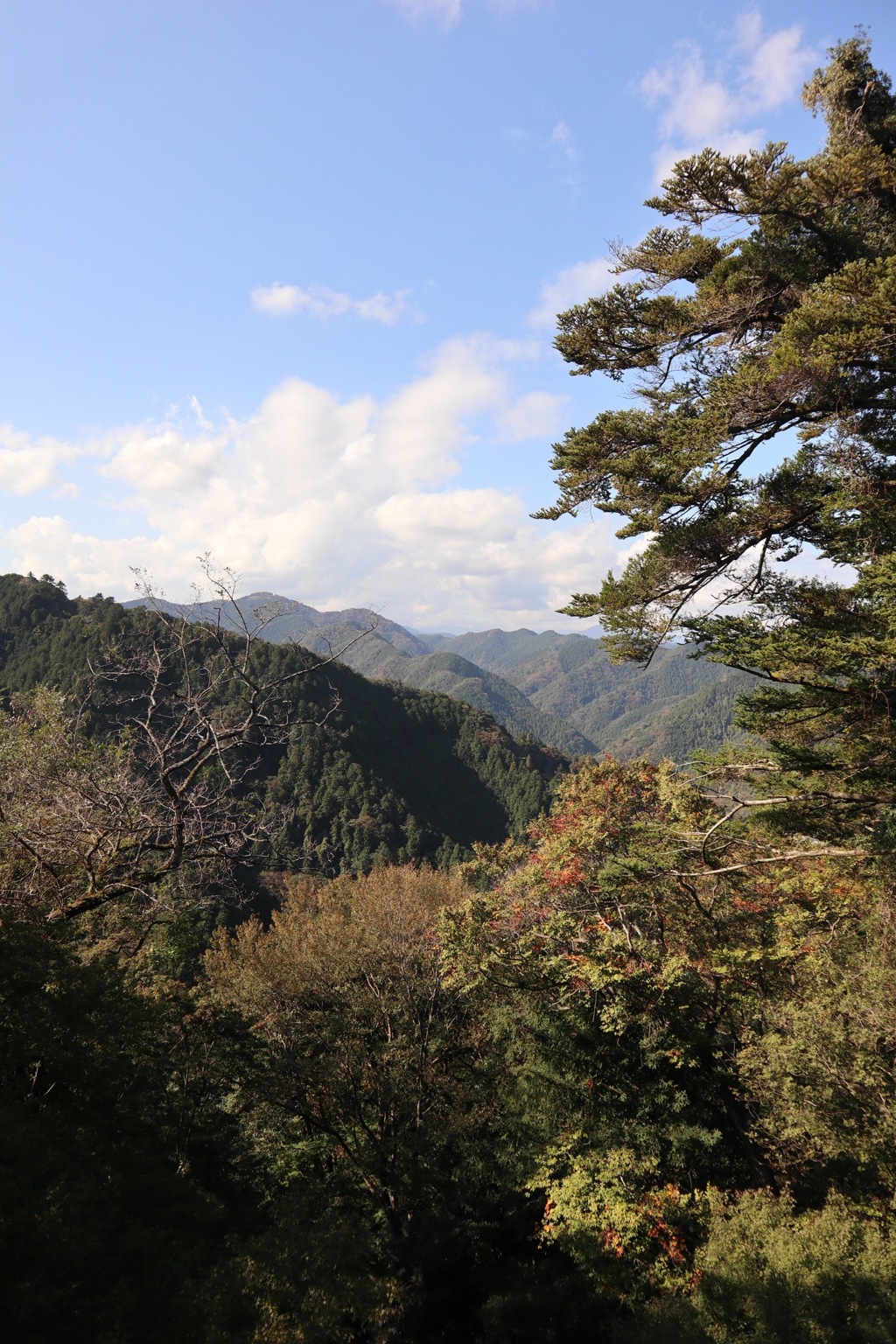 高尾山