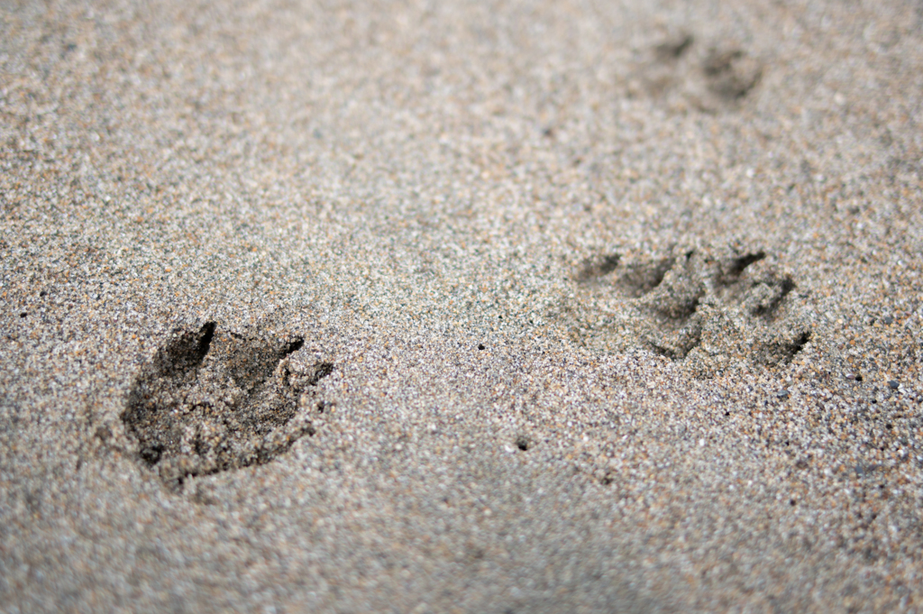 Baker Beach, San Francisco