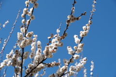 温もり