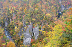 紅葉の中に