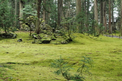 白山平泉寺にて２