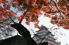 遠近