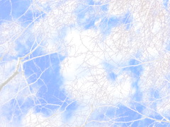 冬の空