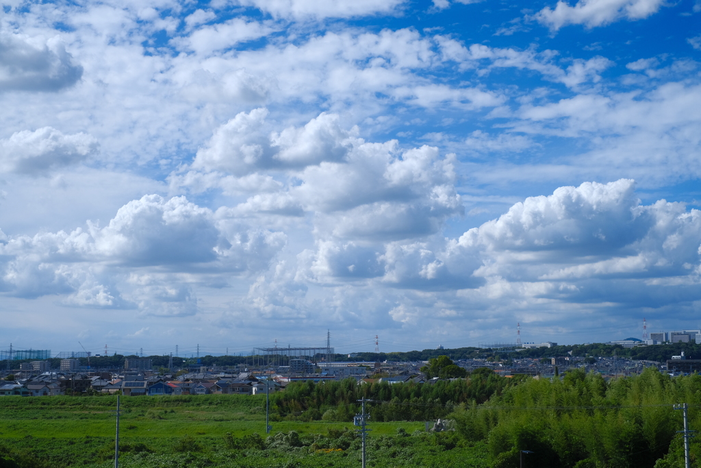 ある日の夏の雲