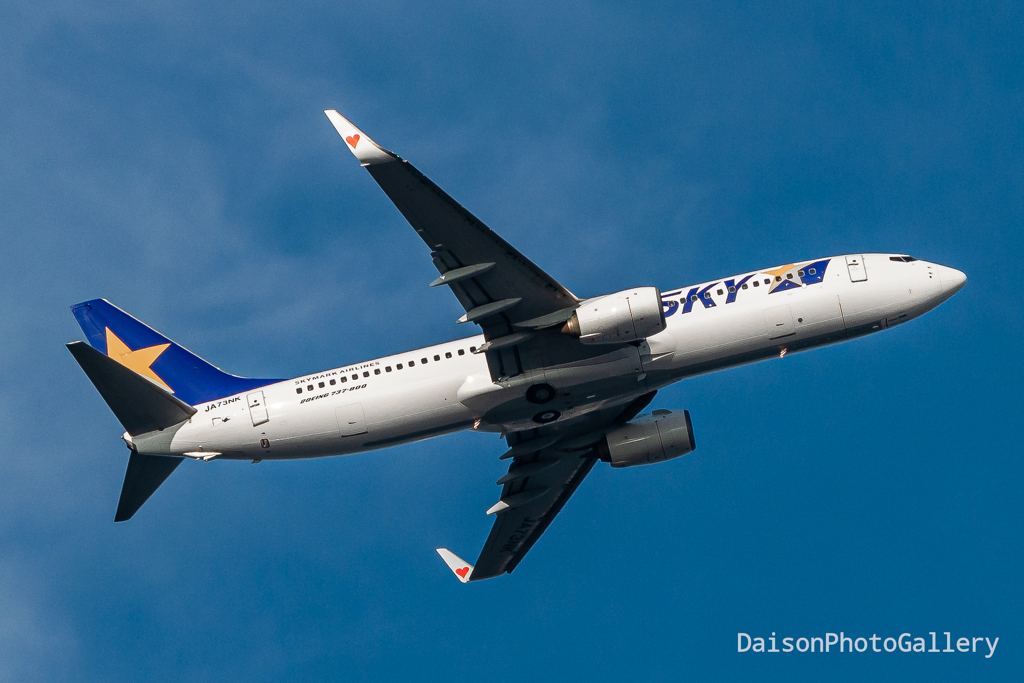 部屋から撮るANA旅客機