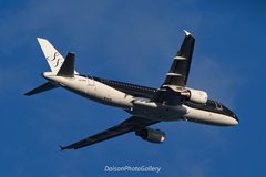 羽田空港 スターフライヤー ja08mc