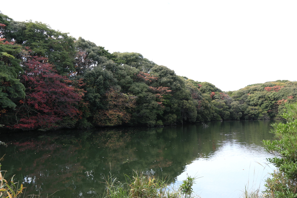 地元の紅葉