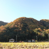 紅葉_町