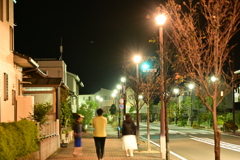 夜の散歩