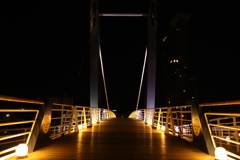 橋のライトアップ