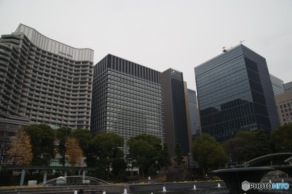 IMGP0401