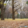 IMGP0373