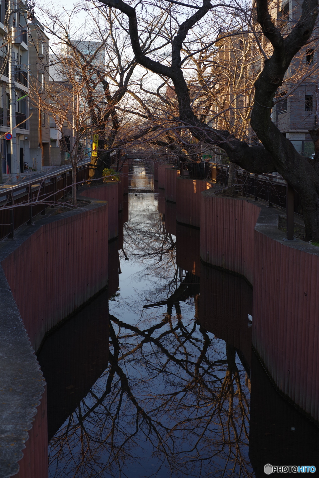 IMGP0860