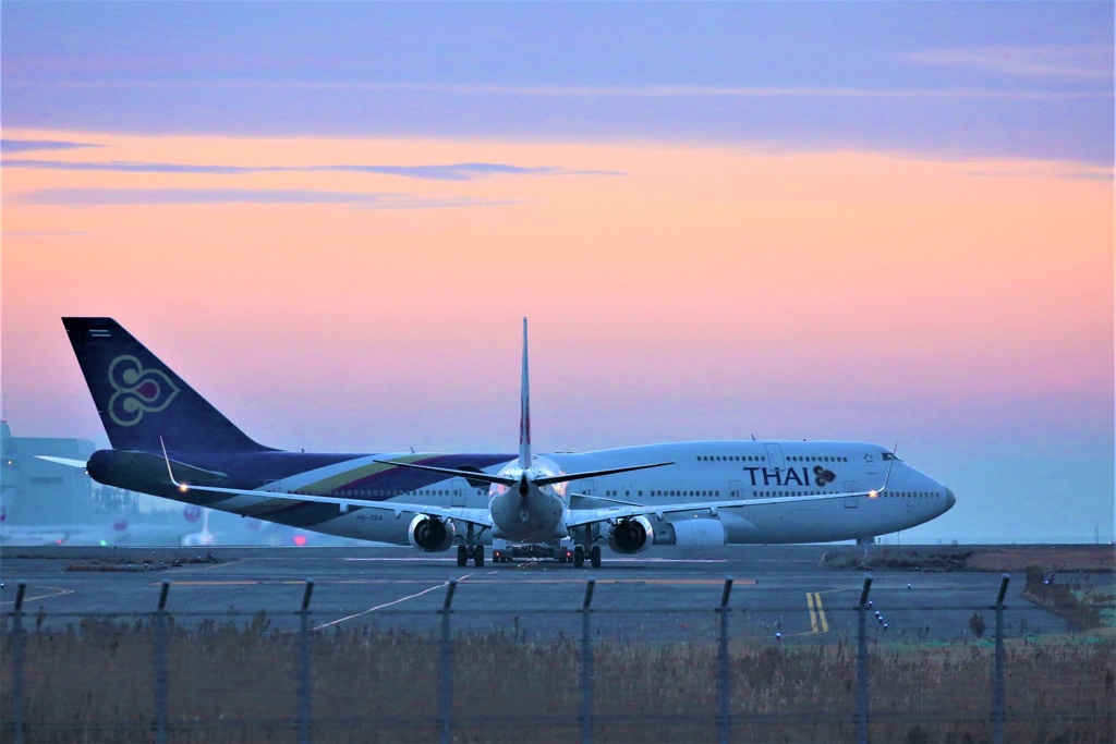前を横切るタイジャンボ