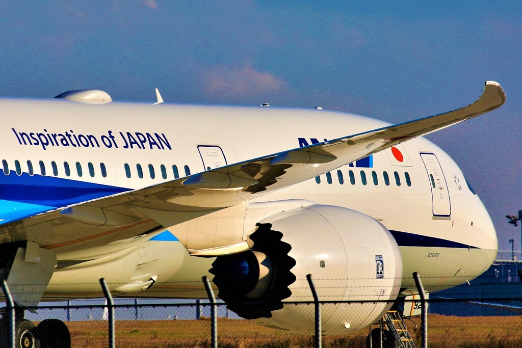 787エンジンが羽に映る