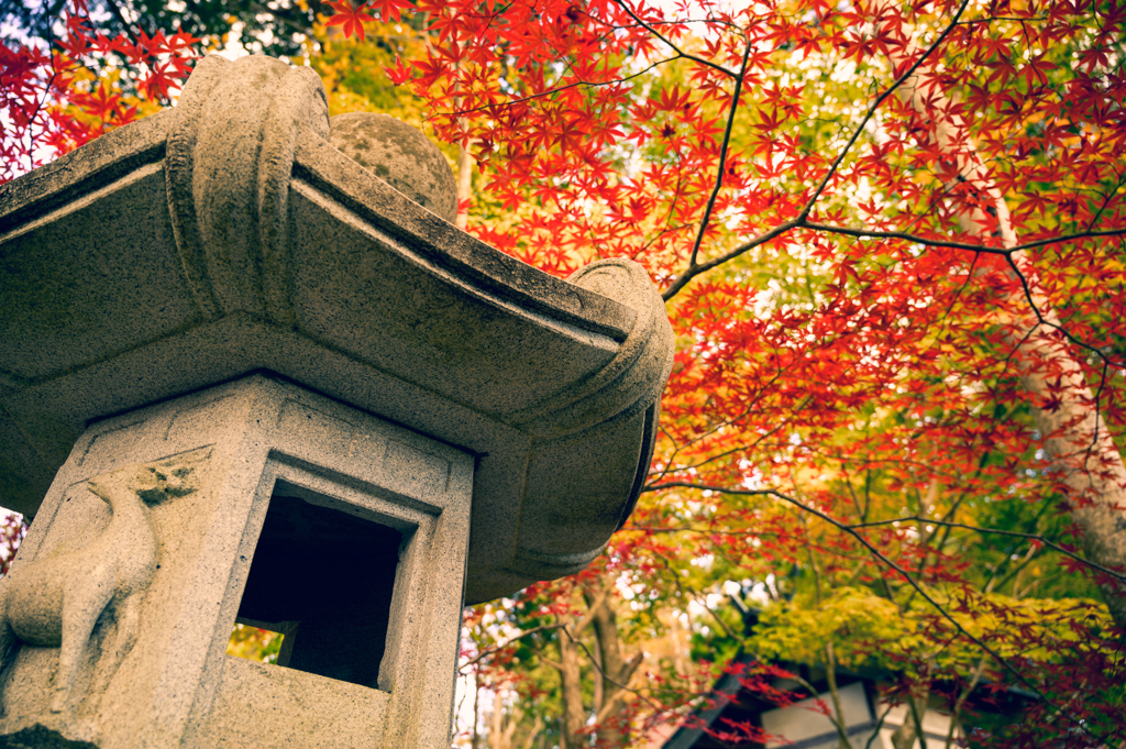 紅葉と灯篭