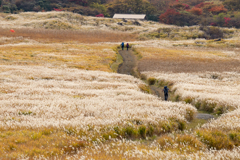 坊がつるキャンプ場（みち）