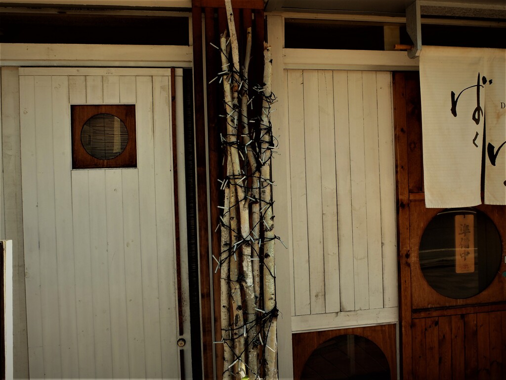 DSCF8572 (2)
