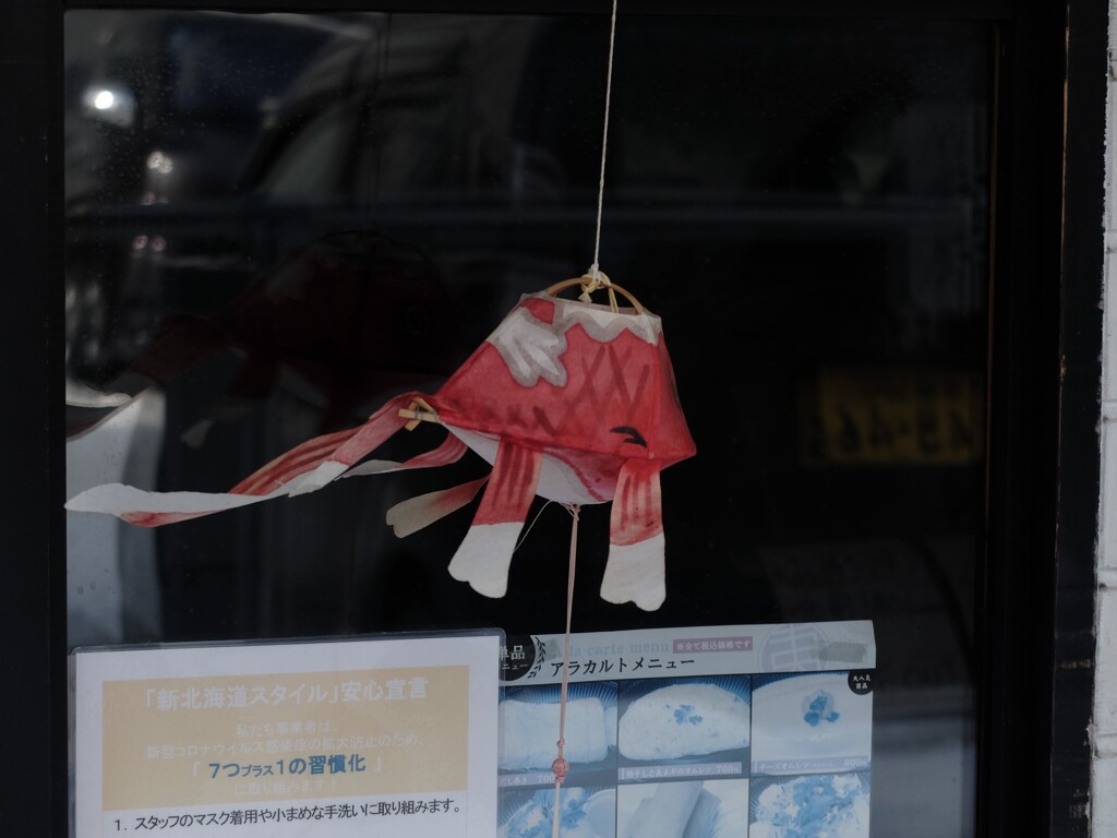 DSCF7255 (2)