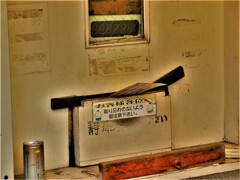 IMG_3654 (2)