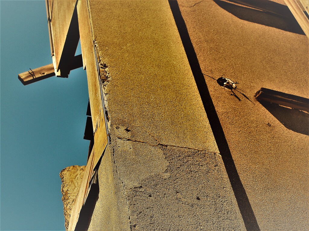 小樽散策　P9146525