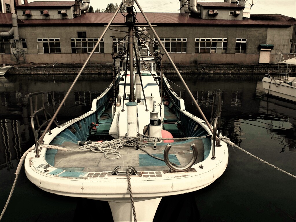 DSCF4111 (2)