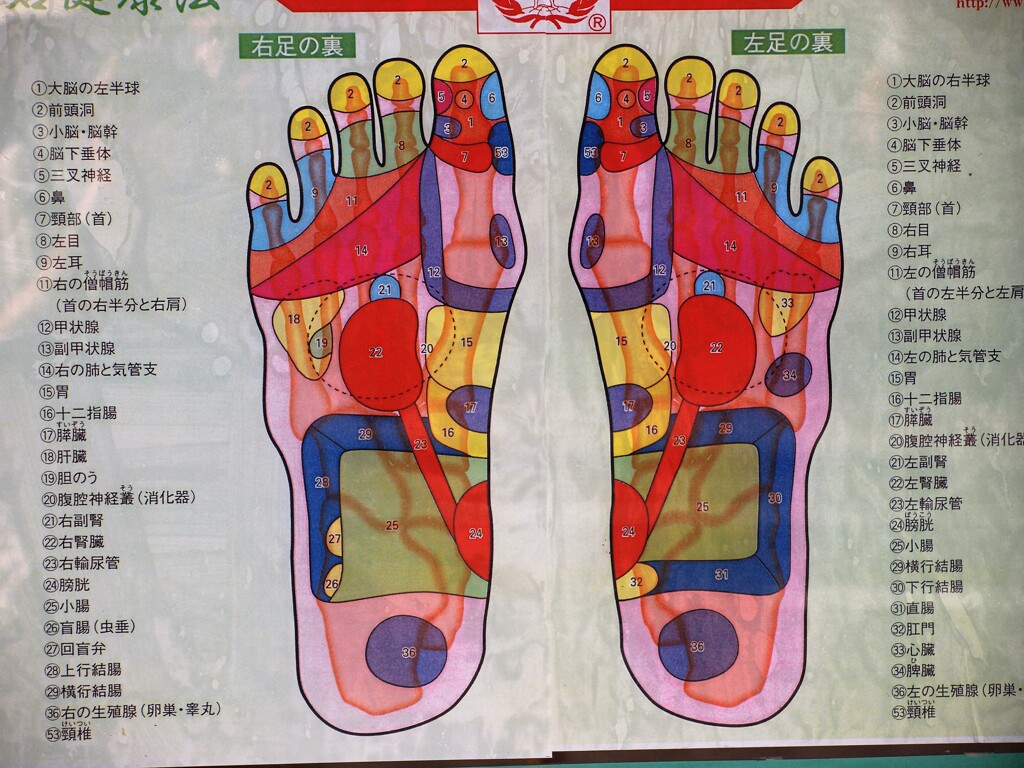 札幌琴似　P9146530