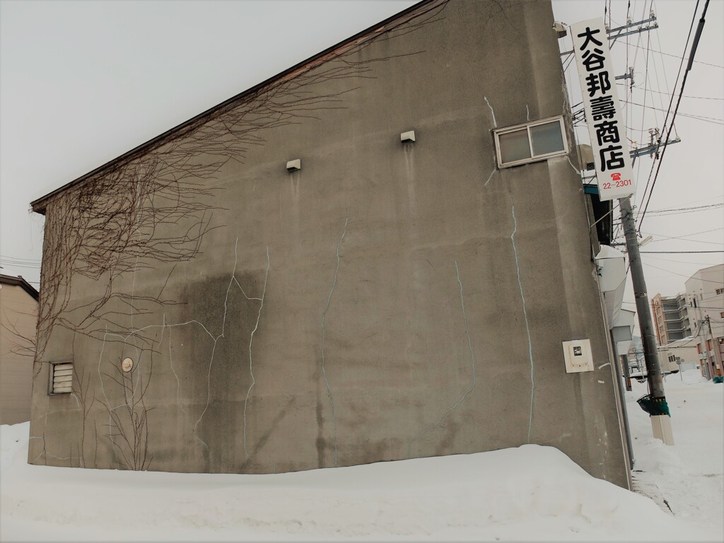 DSCF9838 (2)