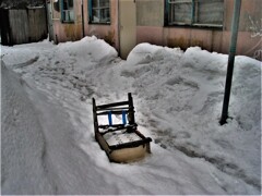 IMG_2770 (2)