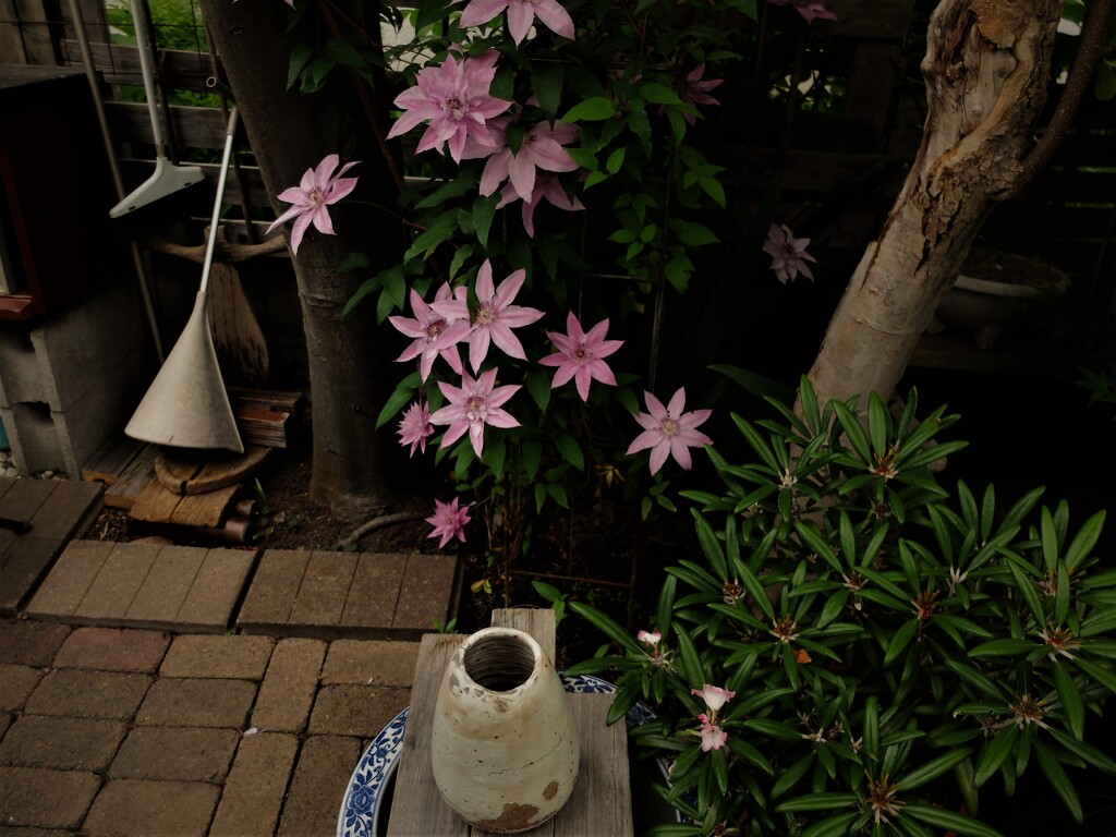 DSCF0953 (2)