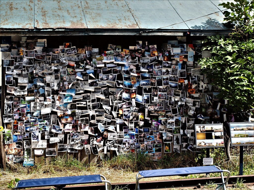 P9085365