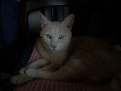 DSCF8437 (2)