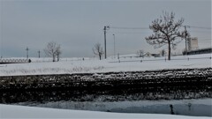 DSCF9206 (2)