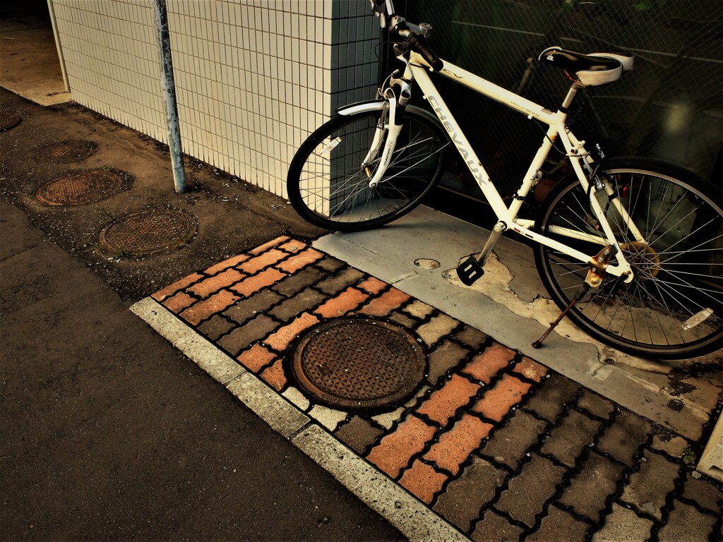 DSCF8586 (2)