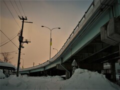 IMG_1838 (2)
