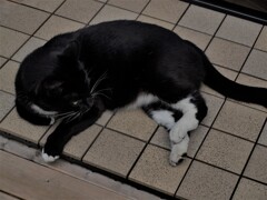 P6309621