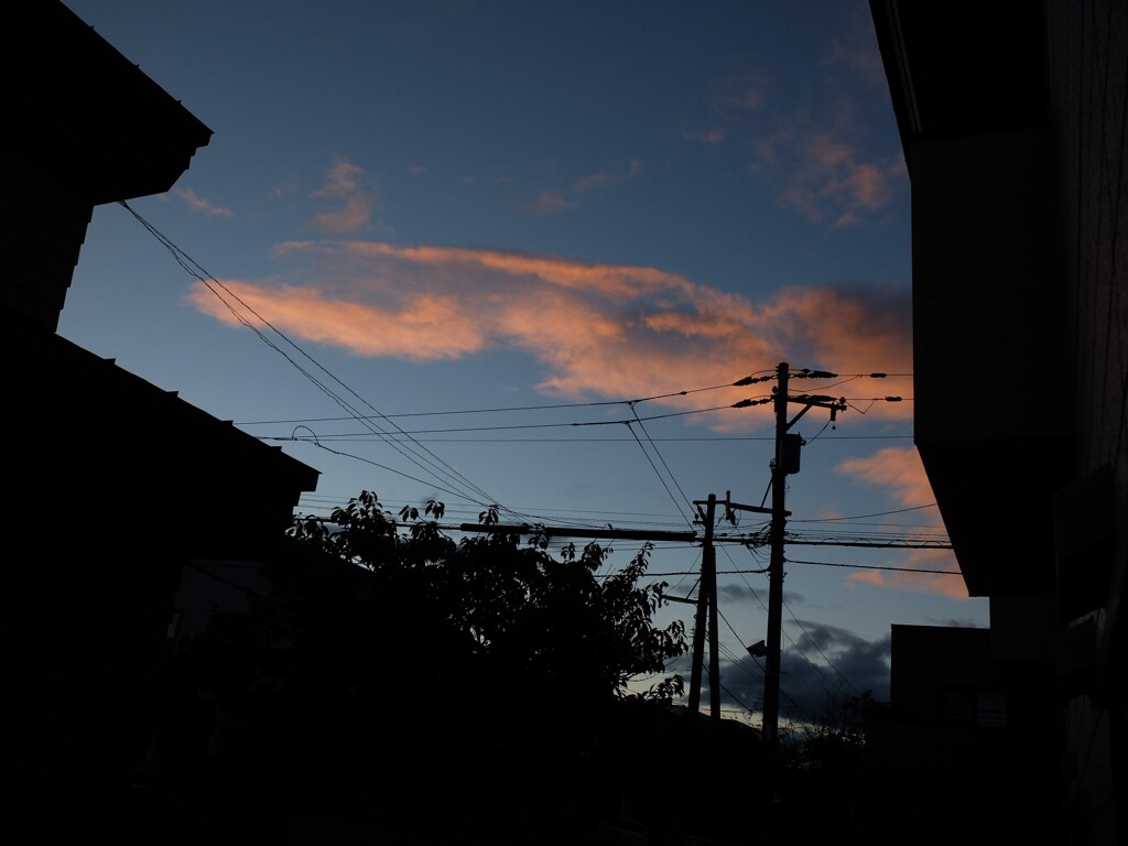 DSCF3579 (2)