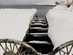 DSCF0406 (2)