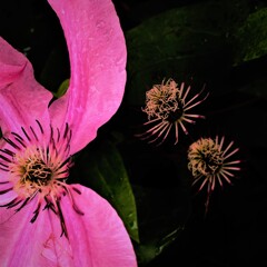 DSCF1495 (2)