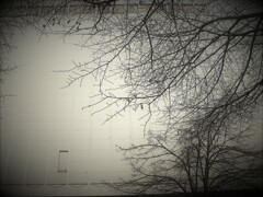 IMG_7788.jpg01