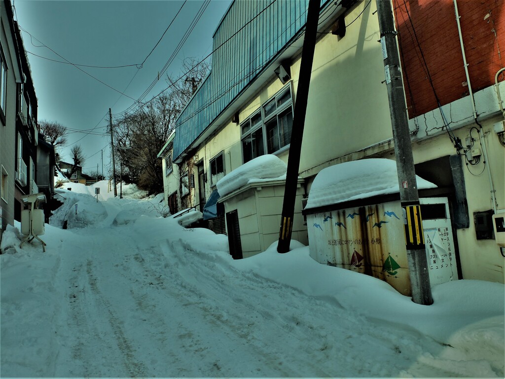 DSCF1133 (2)
