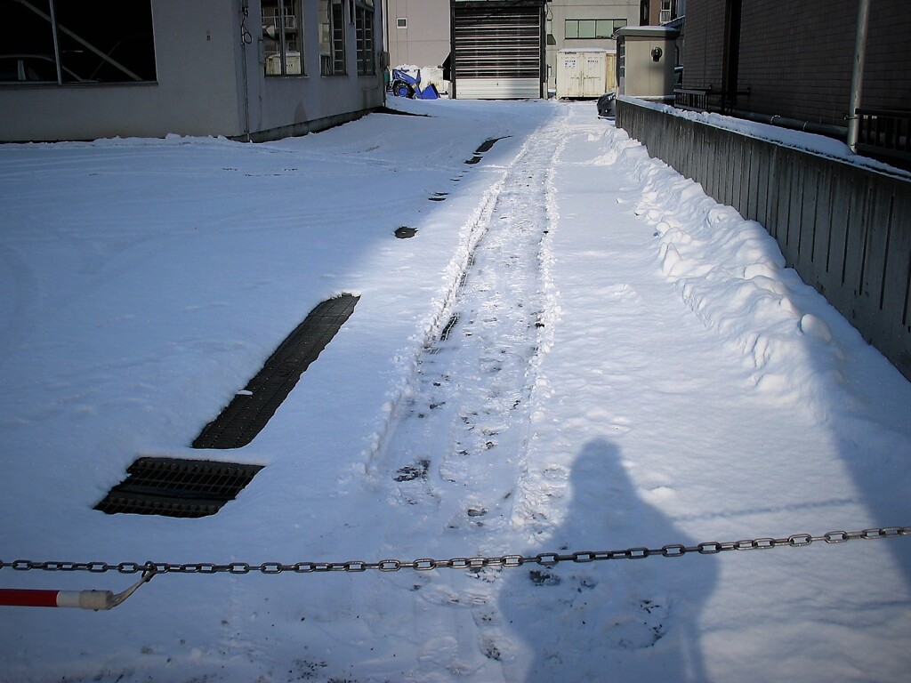 IMG_1038 (2)