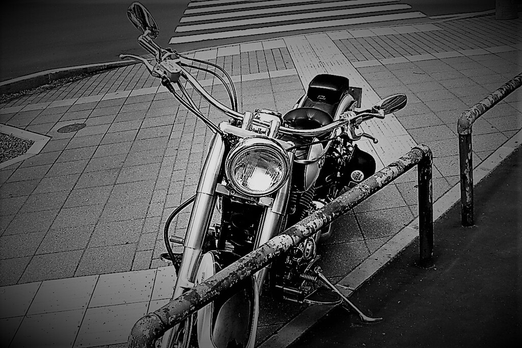 IMG_2803 (3)