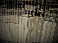 IMG_3437.jpg01