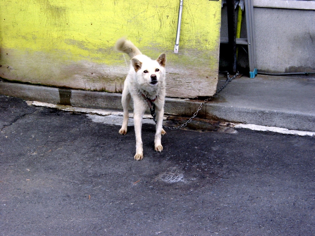 IMG_4823.JPG  01