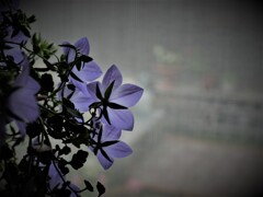 P7032974