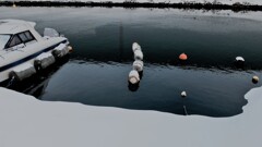 DSCF9594 (2)