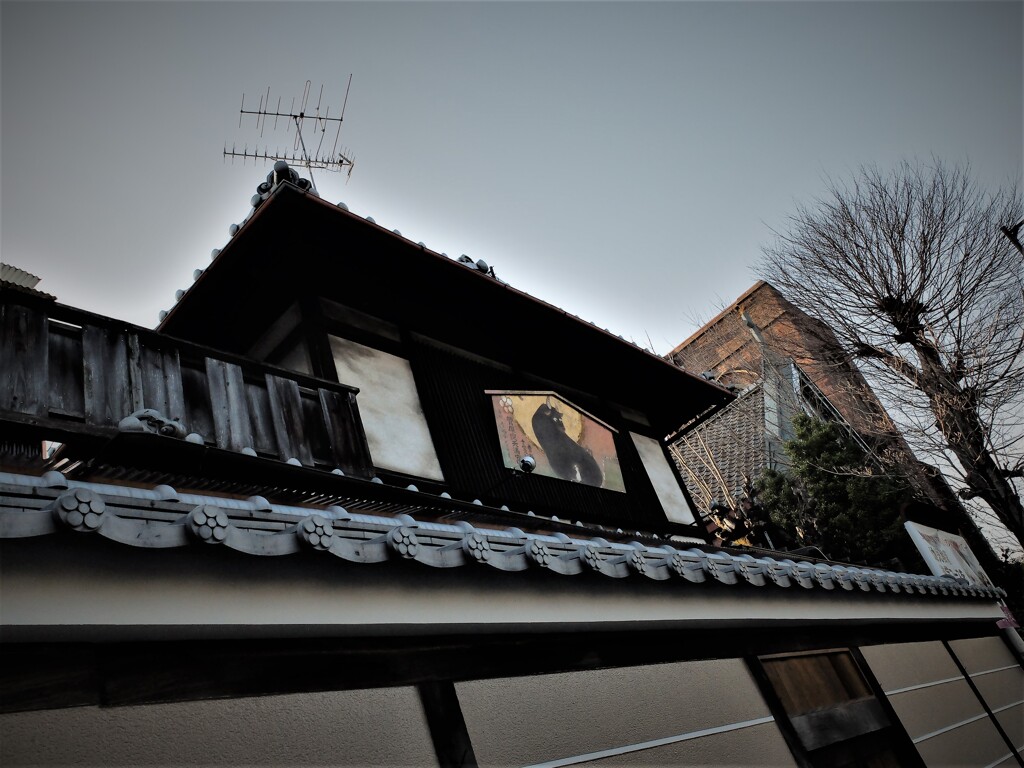 DSCF1446 (2)