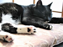 IMG_4006.jpg01