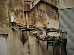 IMG_4740 (2)